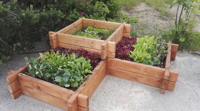 Красивые грядки своими руками: 50 идей, как украсить огород и вырастить хороший урожай
